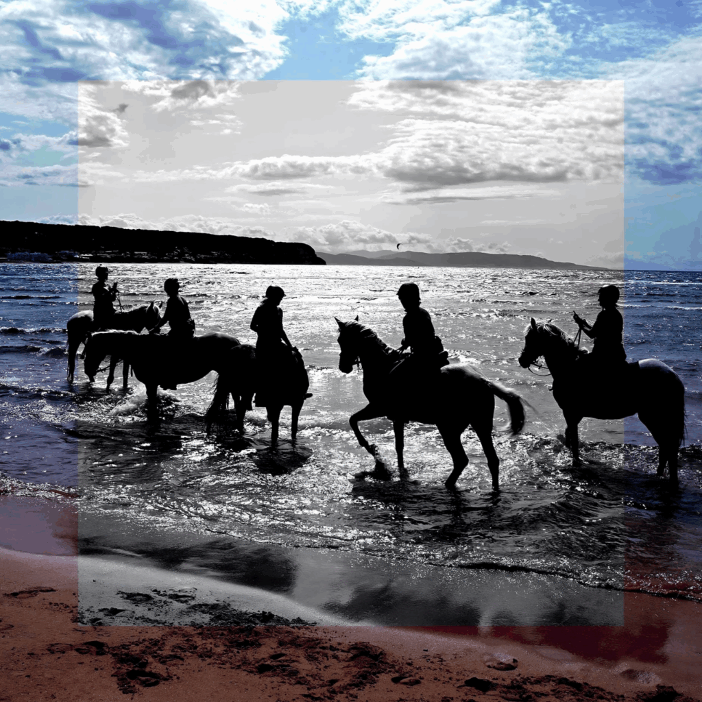 exposition peinture gard occitanie st-quentin-la-poterie galerie expo art uzès galerie exposition gard exposition occitanie sortir en famille que faire ce week-end